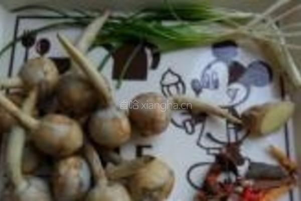 草鱼烧茨菇的做法图解1
