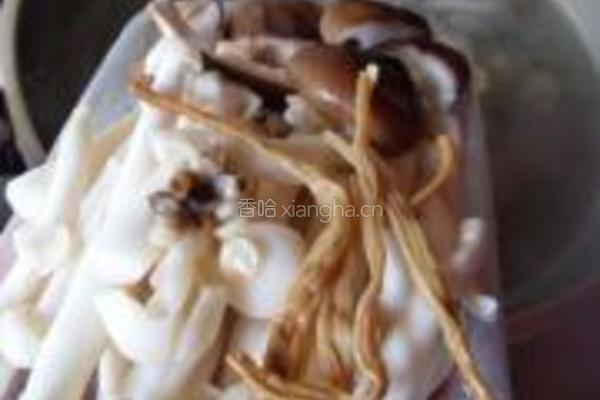 鲜菇土鸡煲的做法图解10