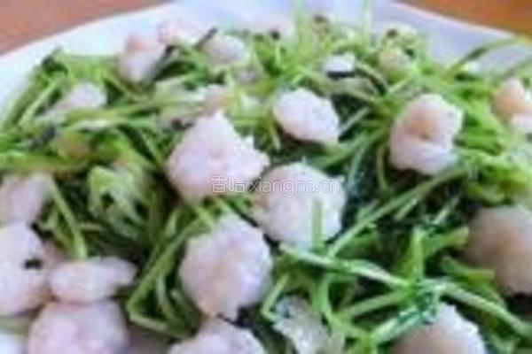 豌豆苗虾仁的做法图解7