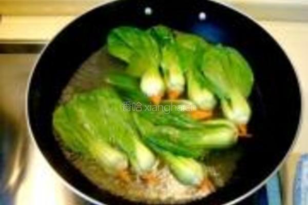 金箱白玉红嘴绿鹦哥的做法图解19