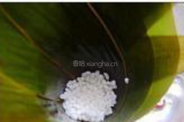 蜜枣甜粽的做法图解4