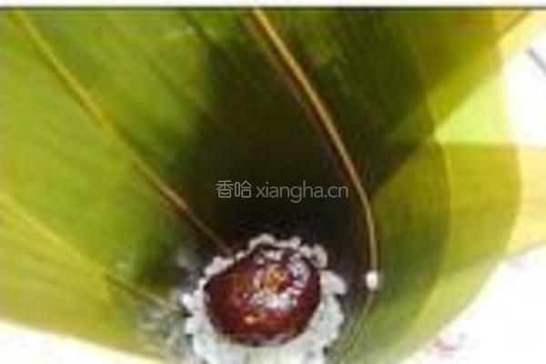 蜜枣甜粽的做法图解5