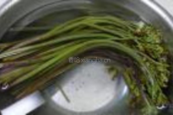 里脊炒蕨菜的做法图解4