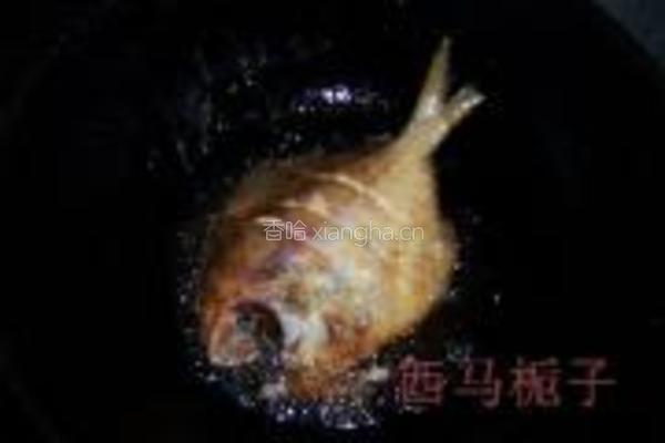 红烧平鱼的做法图解3