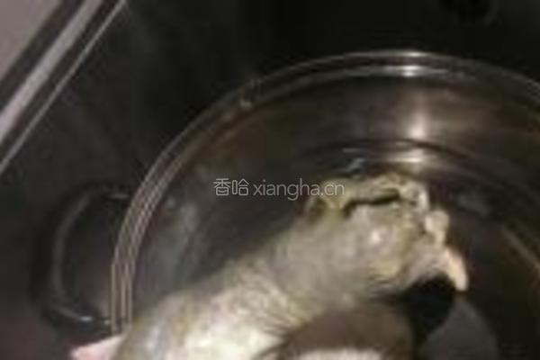 清蒸甲鱼的做法图解3