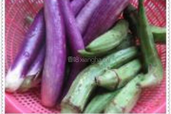 秋葵茄子的做法图解1