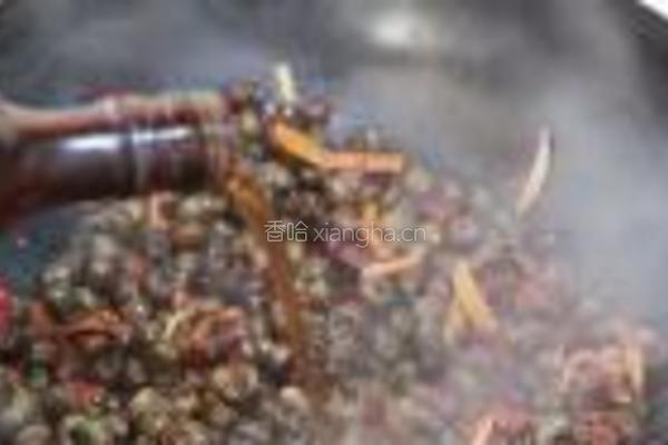 酱爆螺蛳的做法图解7
