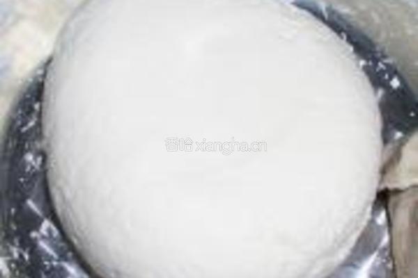 荠菜海米饺子的做法图解9