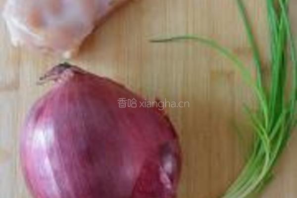 洋葱鸡肉片的做法图解1