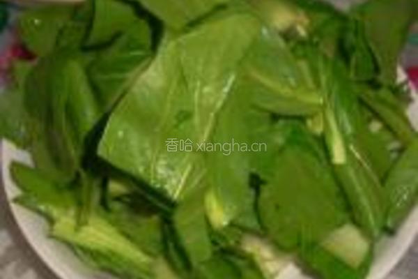 油菜平菇的做法图解4