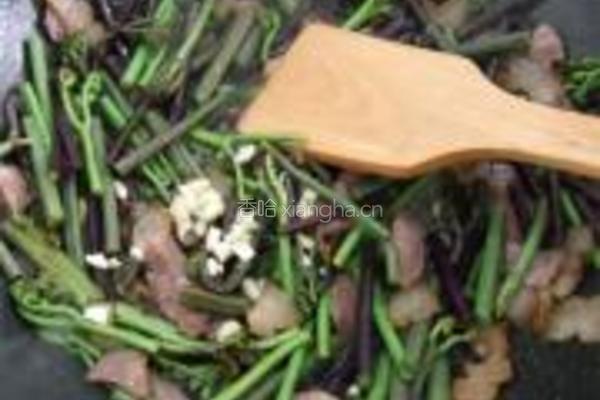 蕨菜炒腊肉的做法图解10