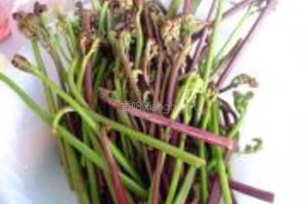 蕨菜炒腊肉的做法图解1