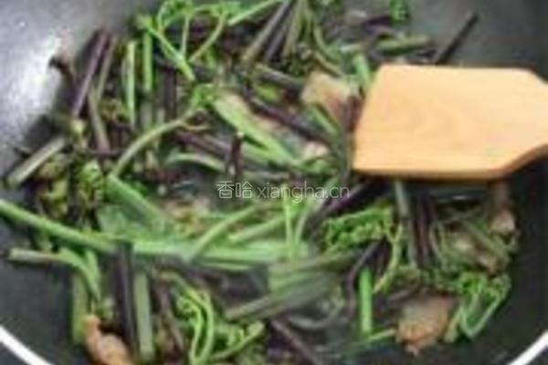 蕨菜炒腊肉的做法图解8