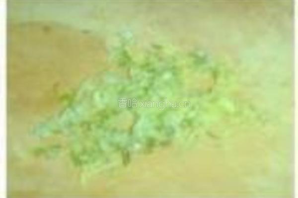 红萝卜馅包子的做法图解3