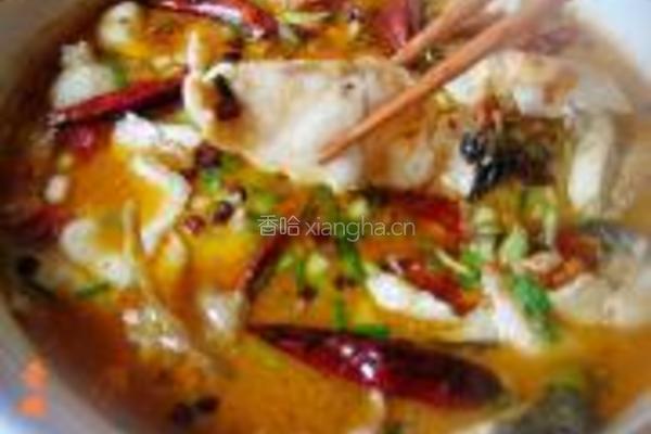 水煮鱼的做法图解20