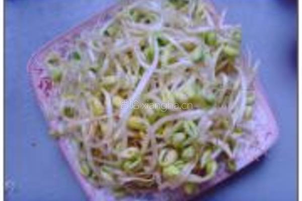 肉炒黄豆芽的做法图解1
