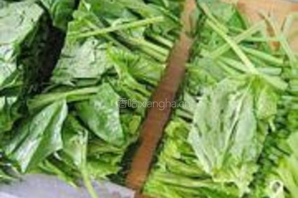 凉拌菠菜的做法图解2