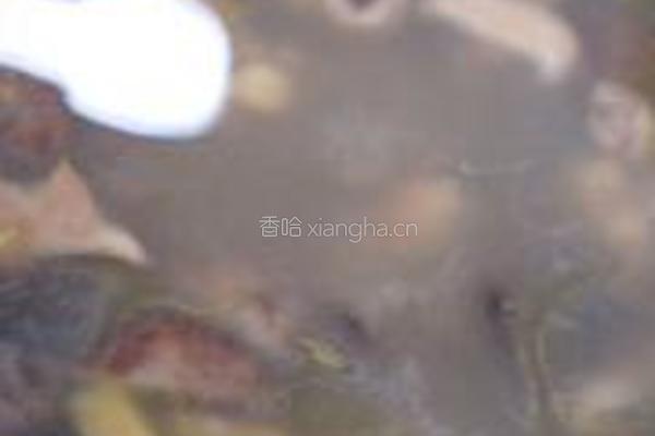 香菇鸡汤的做法图解8