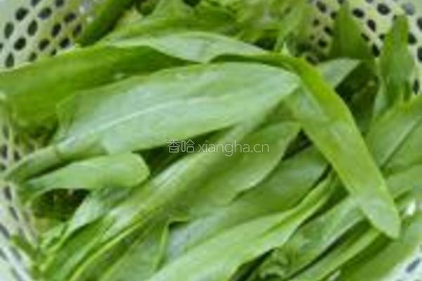 素炒油麦菜的做法图解4