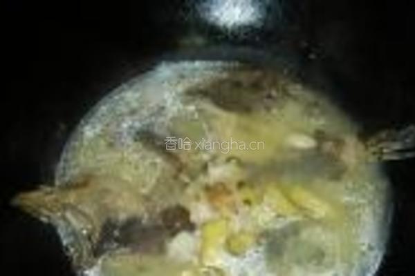 清炖多宝鱼的做法图解3