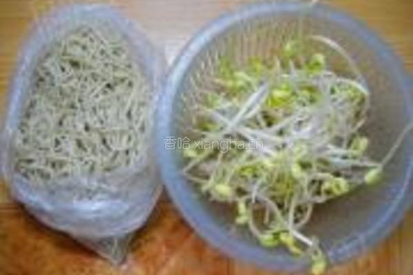 饭煲麻辣豆芽焖面的做法图解1