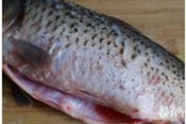 干烧鲤鱼的做法图解1