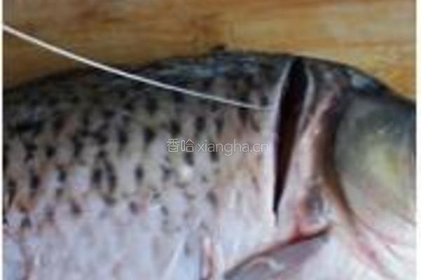 干烧鲤鱼的做法图解2