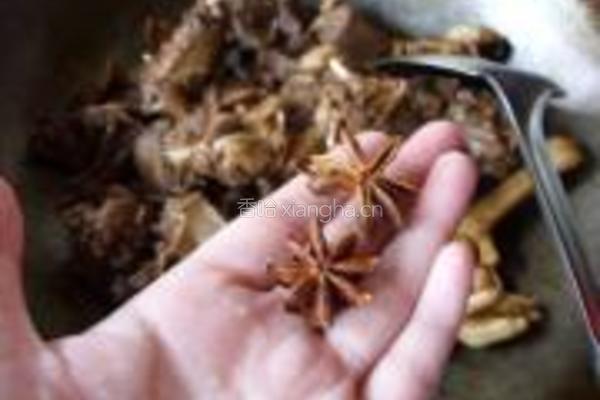 菜干花生红烧鹅的做法图解8