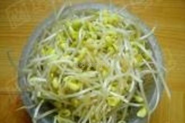 酸辣黄豆芽的做法图解1