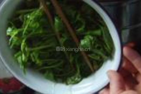 盐渍香椿的做法图解12