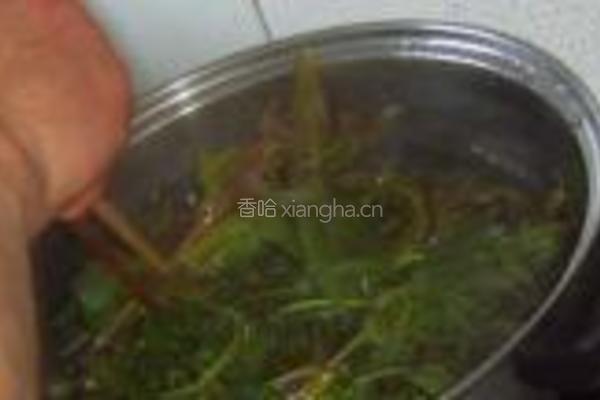 盐渍香椿的做法图解6