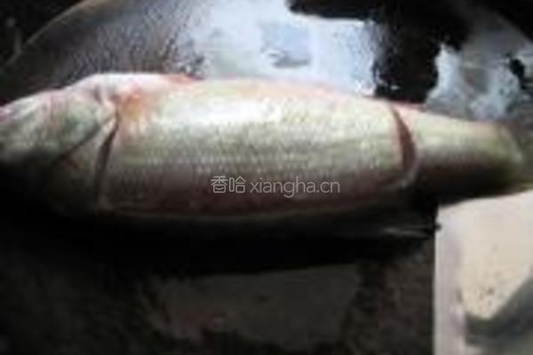 特色蒸鲈鱼的做法图解5