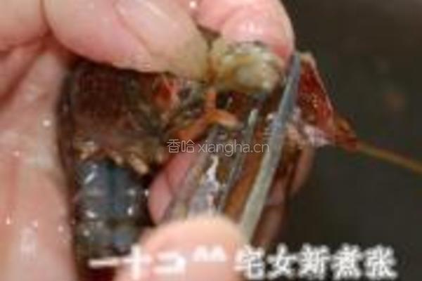 浓香原味小龙虾的做法图解8