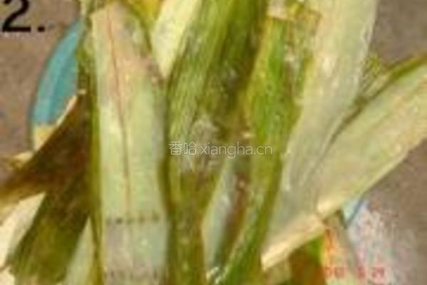 裹蒸粽的做法图解2