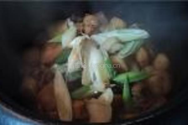 淮山薯焖羊肉的做法图解8