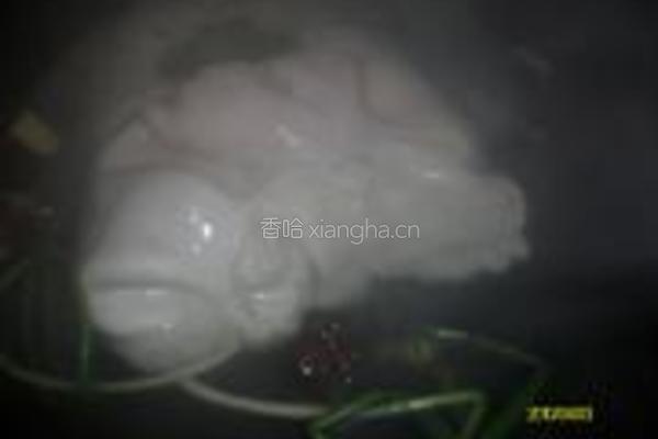 山药猪肚汤的做法图解1
