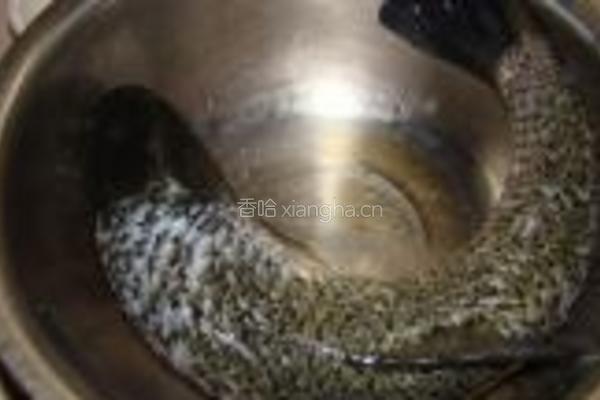 水煮鱼的做法图解1