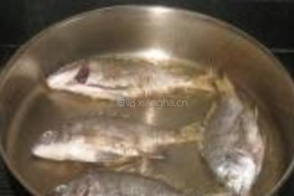 香煎加吉鱼的做法图解4