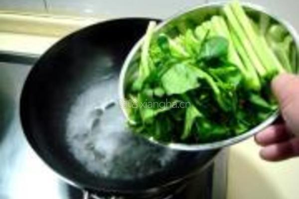 鱼肚扒菜心的做法图解16