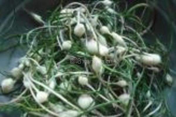 小根蒜鸡蛋炒豆腐的做法图解1