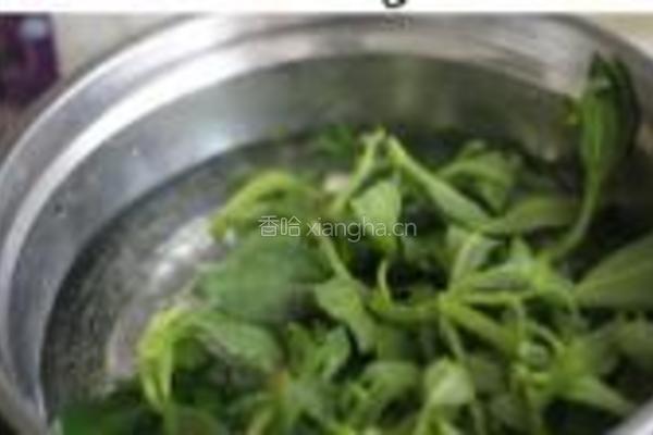 姜末穿心莲的做法图解1
