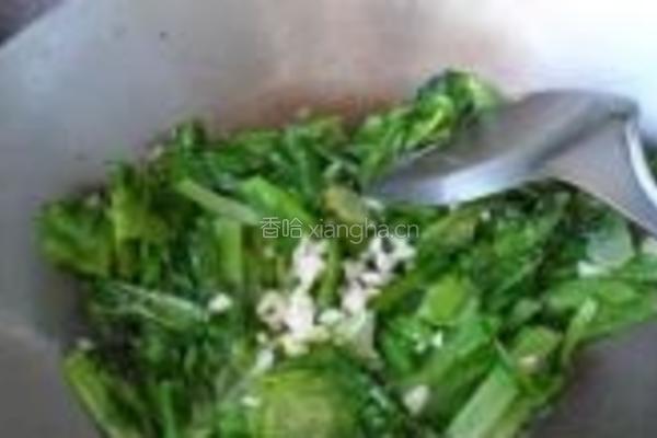 蒜蓉油麦菜的做法图解4