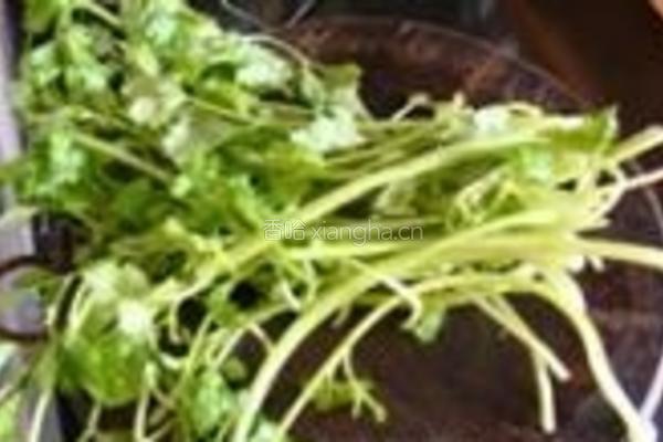 芹菜香干的做法图解1