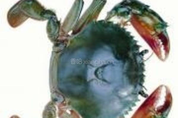 香烤红膏蟹的做法图解1