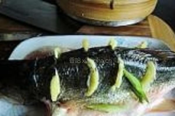 椒汁蒸鲈鱼的做法图解6