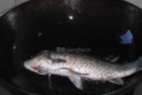 海带豆腐鲫鱼汤的做法图解4