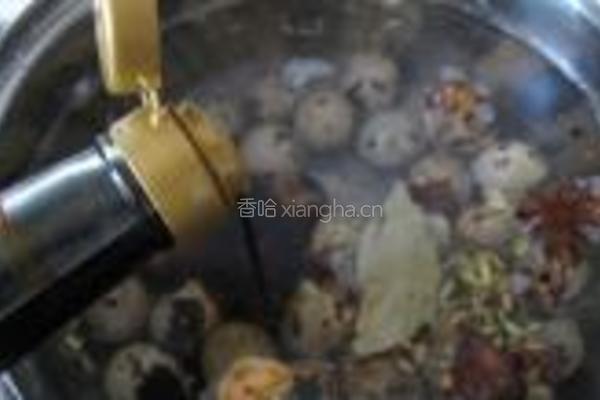 卤鹌鹑蛋的做法图解4