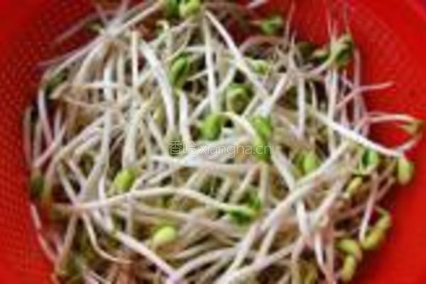 拌豆芽儿的做法图解1