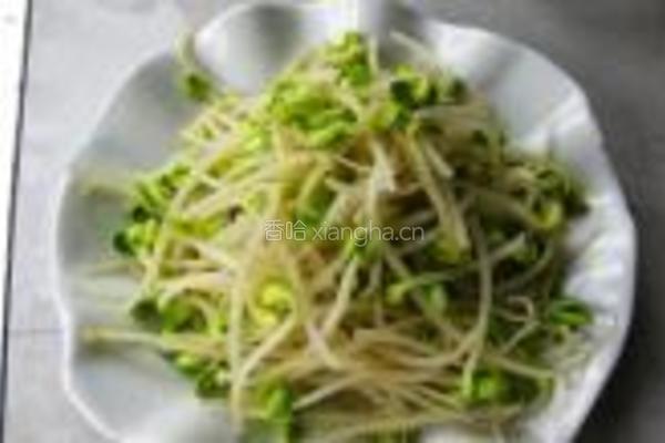拌豆芽儿的做法图解3