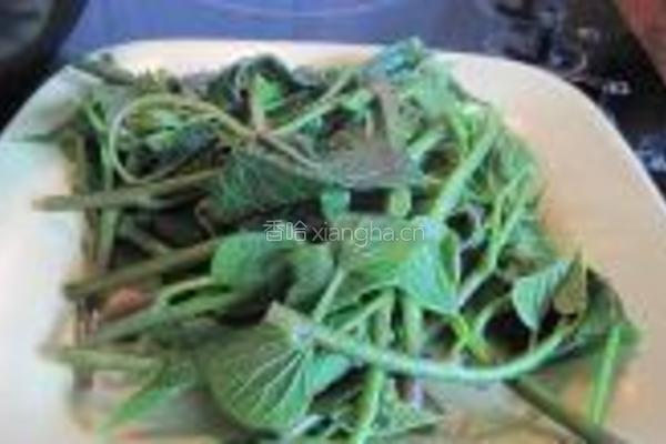 蒜蓉炒番茄叶的做法图解3
